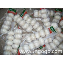 Nueva cosecha Fresh Good Quality Export White Garlic